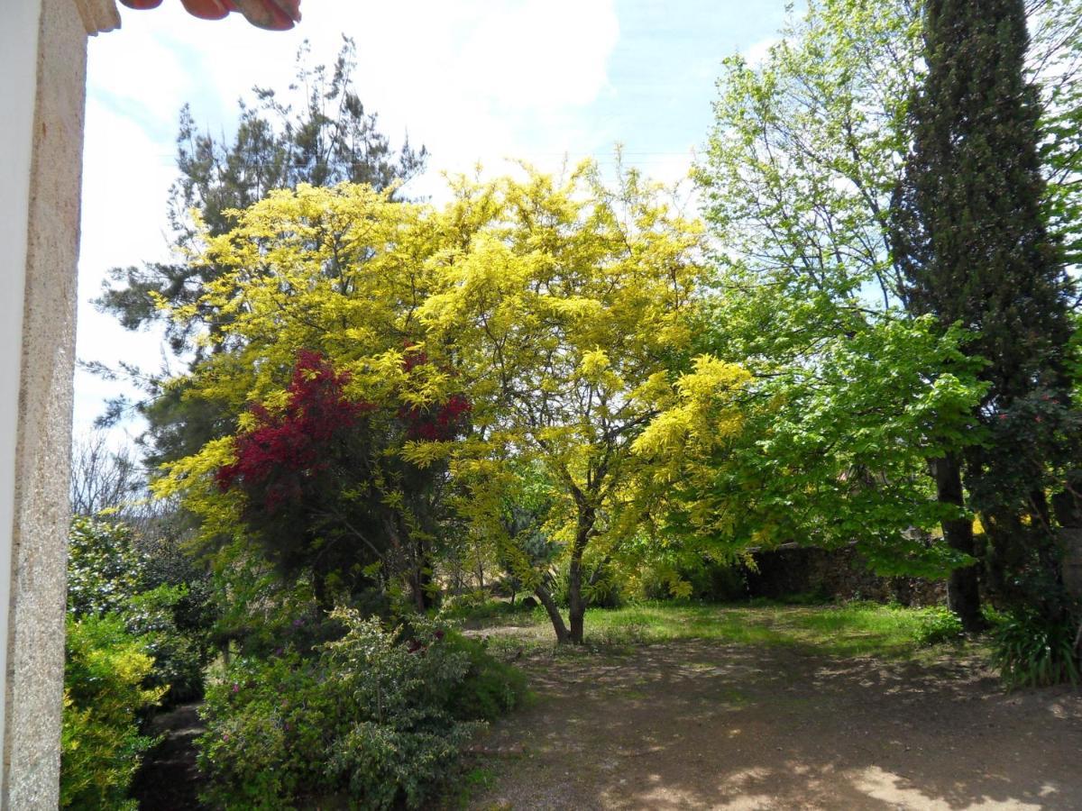 Quinta Do Bento Novo - Casa De Campo - Turismo Rural Viana do Castelo Eksteriør bilde