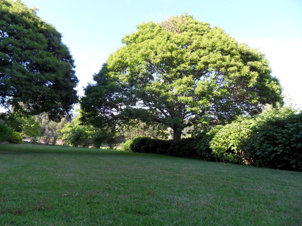 Quinta Do Bento Novo - Casa De Campo - Turismo Rural Viana do Castelo Eksteriør bilde
