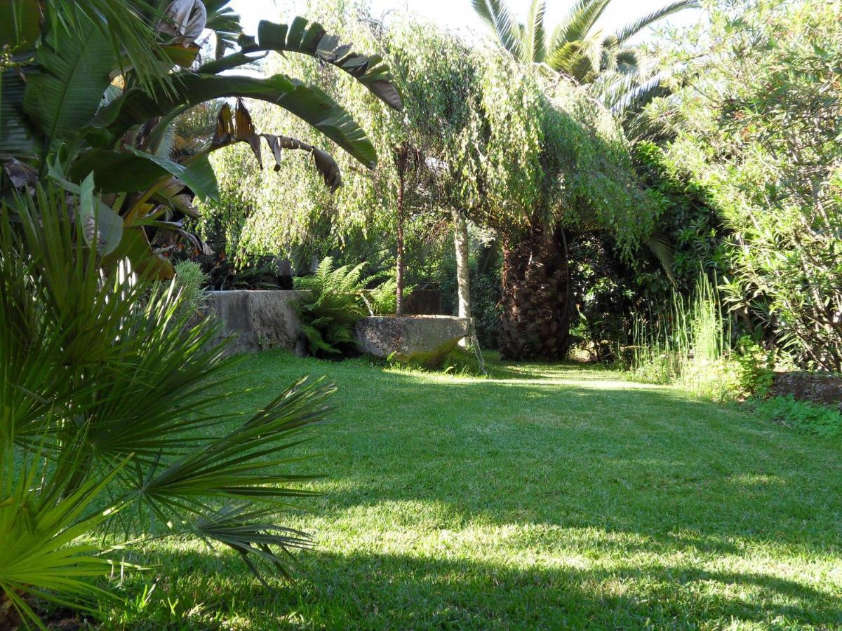Quinta Do Bento Novo - Casa De Campo - Turismo Rural Viana do Castelo Eksteriør bilde