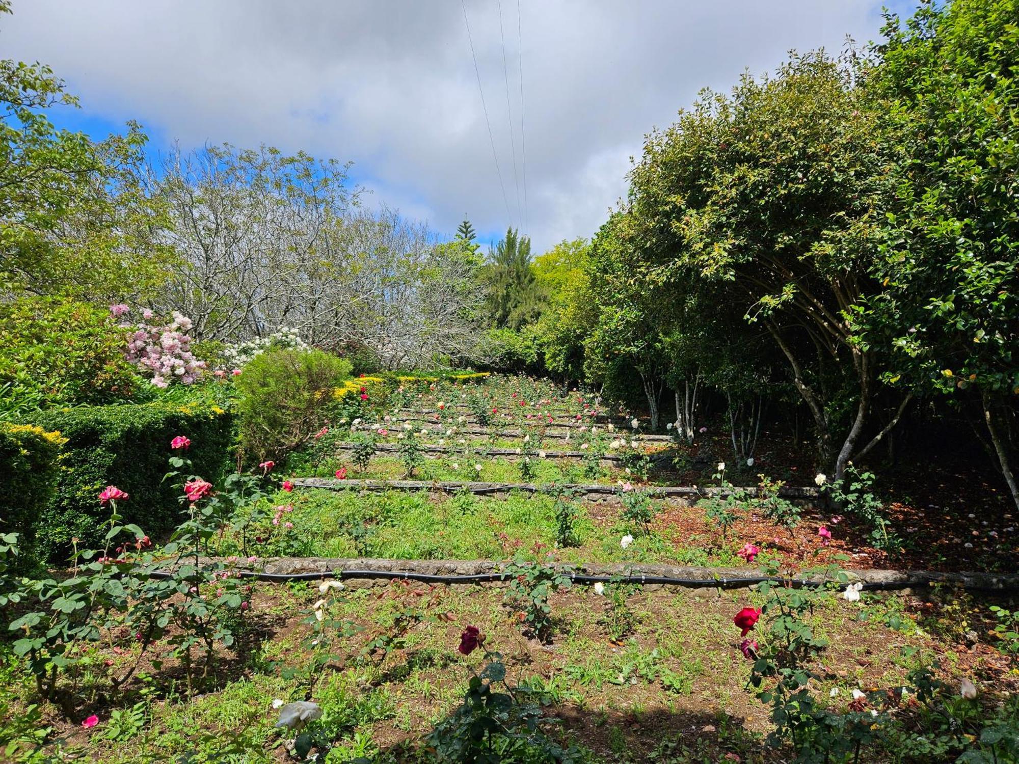 Quinta Do Bento Novo - Casa De Campo - Turismo Rural Viana do Castelo Eksteriør bilde